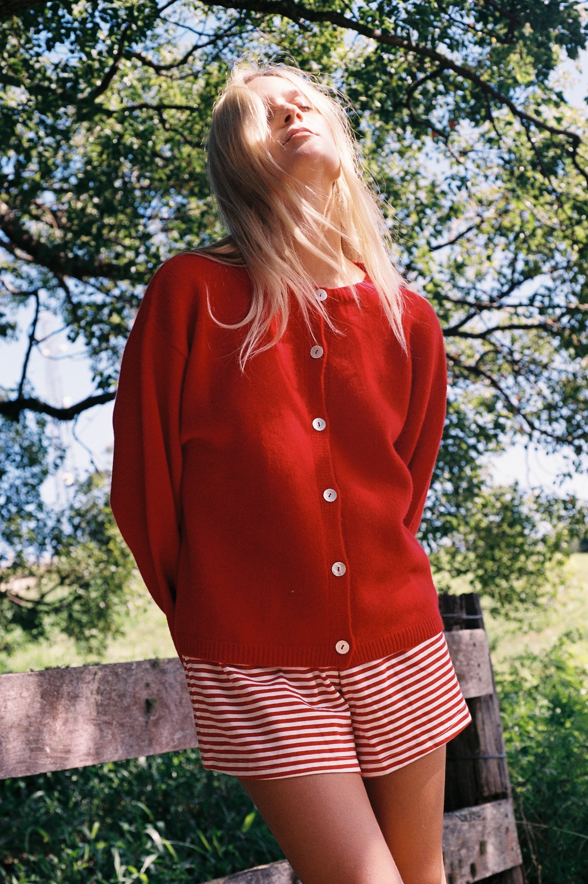 Cherry